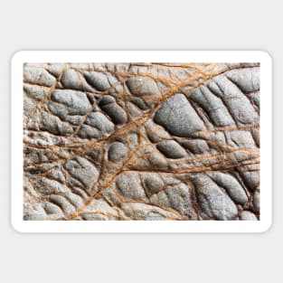 Fragile Orange Volcanic Veins Sticker